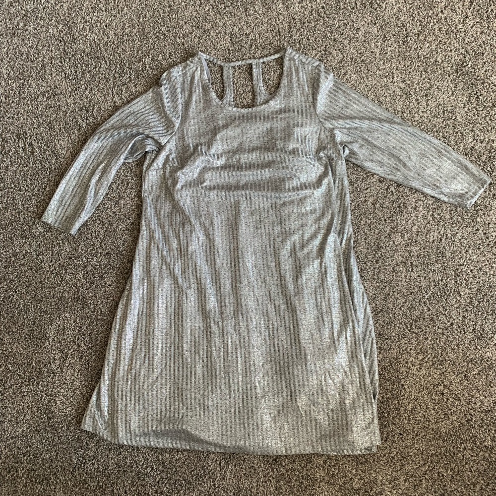 Torrid Plus Size Silver Dress with Slip